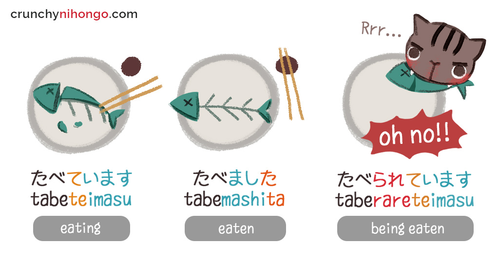 japanese-verb-forms